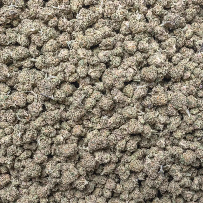 Gumbo Exotic Smalls THCa Flower Ounce supergreenshempco