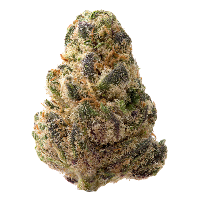 Gumbo Smalls THCa Flower nug