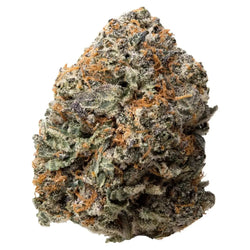 Gush Mintz THCa Flower