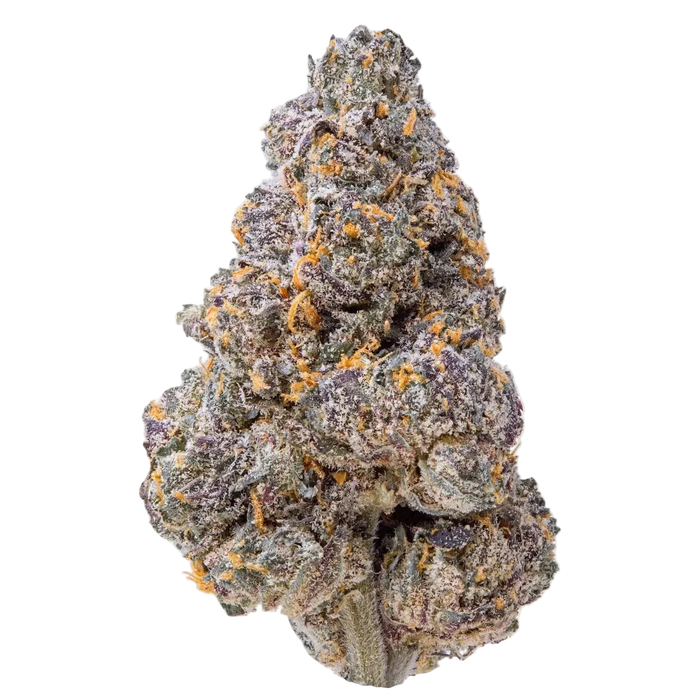 Burst THCa Flower 