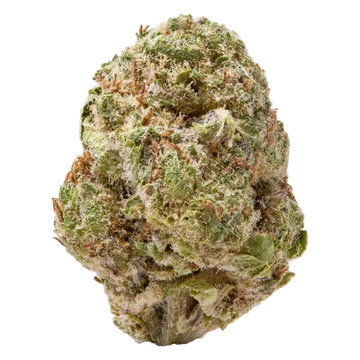 Sour Runtz THCa Flower 