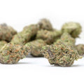 Governmint Oasis Smalls THCa Flower Ounce 