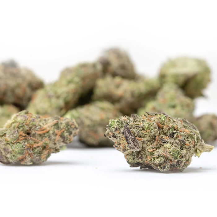 Governmint Oasis Smalls THCa Flower Ounce