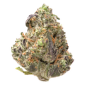 Governmint Oasis Smalls THCa Flower 