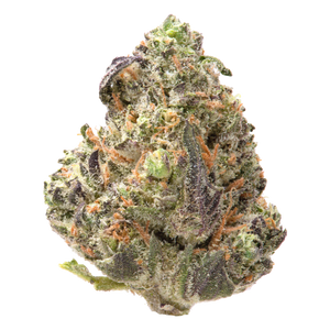 Governmint Oasis Smalls THCa Flower 