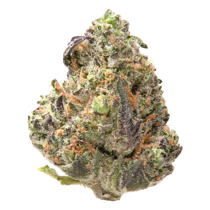 Governmint Oasis Smalls THCa Flower 