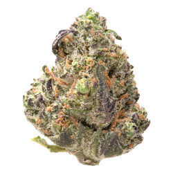 Governmint Oasis Smalls THCa Flower Ounce