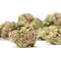 Iced Lemonade Smalls THCa Flower 
