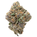 Purple Passion THCa Flower 