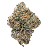 Purple Passion THCa Flower
