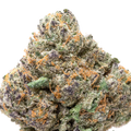 Purple Passion THCa Flower