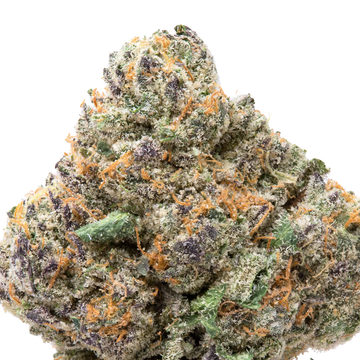 Purple Passion THCa Flower