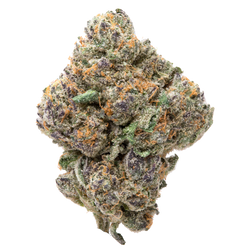 Purple Passion THCa Flower 