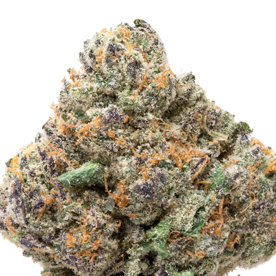 Purple Passion THCa Flower