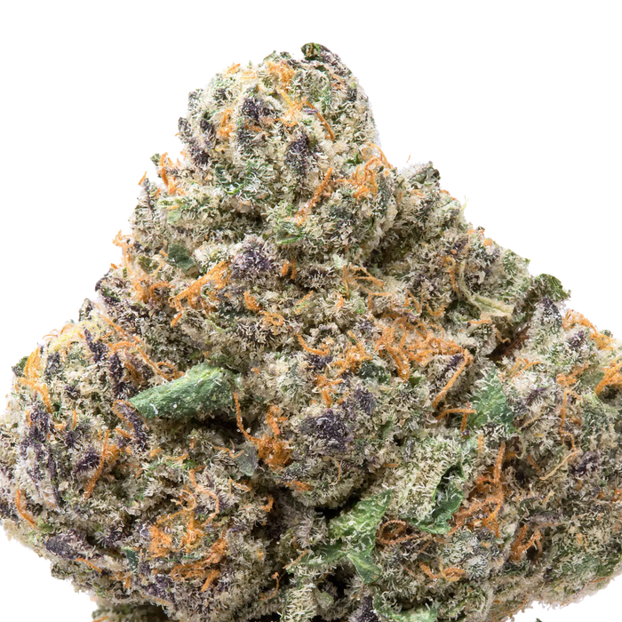 Purple Passion THCa Flower