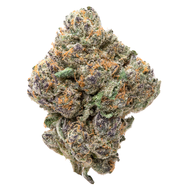 Purple Passion THCa Flower 