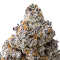 Cookies and Cream THCa Flower