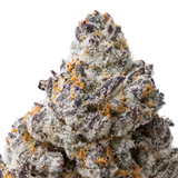 Cookies and Cream THCa Flower
