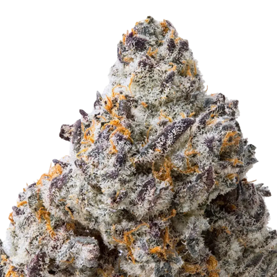 Cookies and Cream THCa Flower