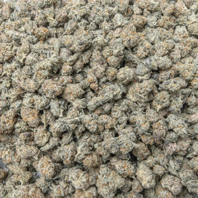 Cookies And Cream Exotic Smalls THCa Flower 