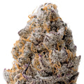 Super Boof THCa Flower 
