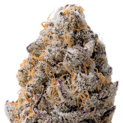 Super Boof THCa Flower 