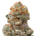 Illemonati THCa Flower 
