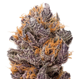 Super Boof THCa Flower