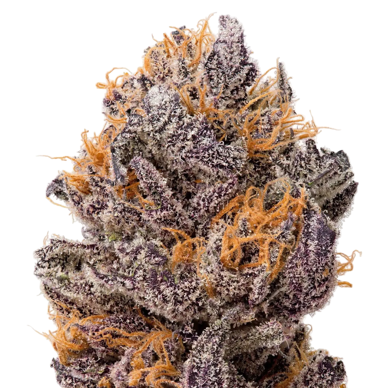Ounce Deal Bags THCa Flower 