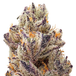 Gas Mask THCa Flower 