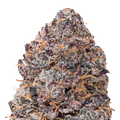 Gelato THCa Flower Ounce 