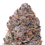 Gelato THCa Flower Ounce