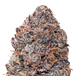 Gelato THCa Flower Ounce 