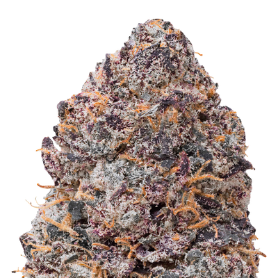 Gelato THCa Flower