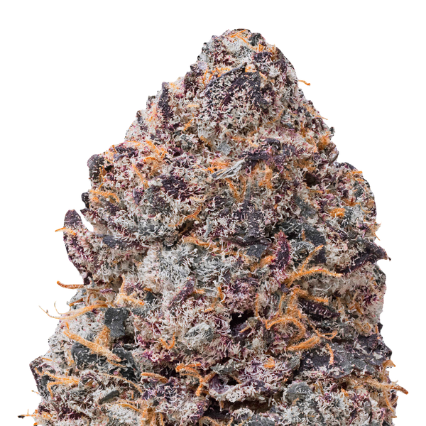 Gelato THCa Flower Ounce 