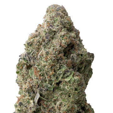 Jet Fuel Greenhouse THCA Flower Ounce 