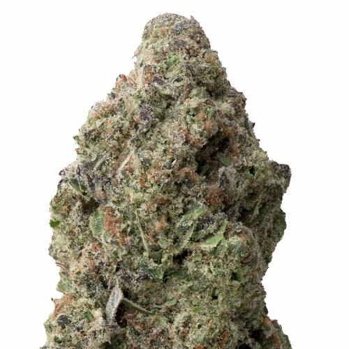 Jet Fuel THCA Flower | 28 Grams