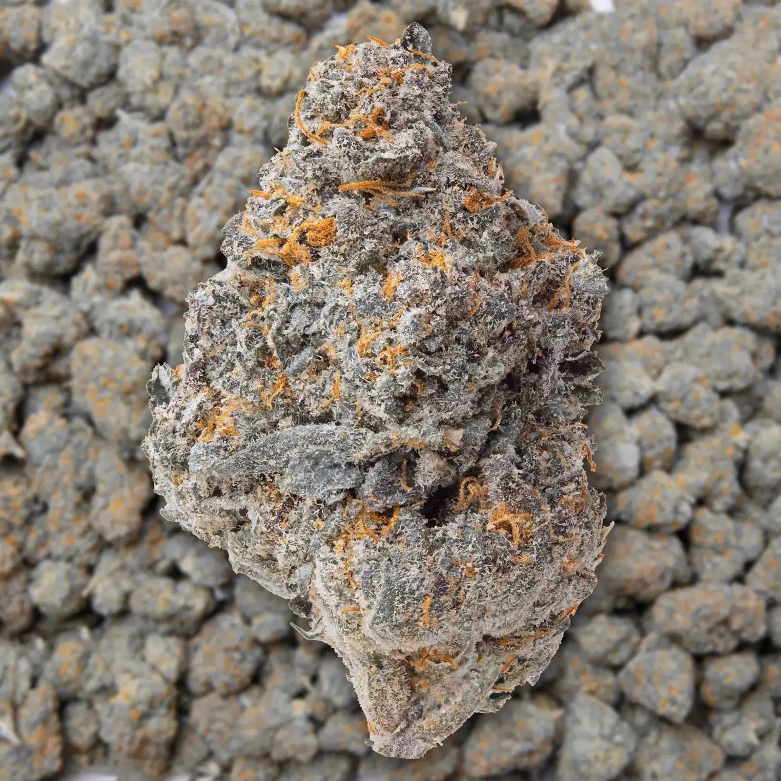 Strawberry Cough THCa Flower supergreenshempco