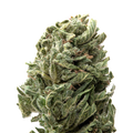 Strawberry Shortcake Greenhouse THCa Flower | 28 Grams 