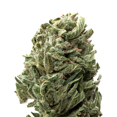 Strawberry Shortcake Greenhouse THCa Flower | 28 Grams 