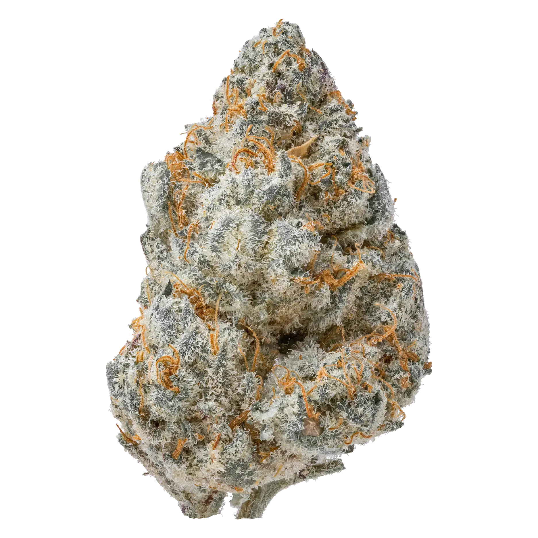 Guava Smalls THCa Flower supergreenshempco