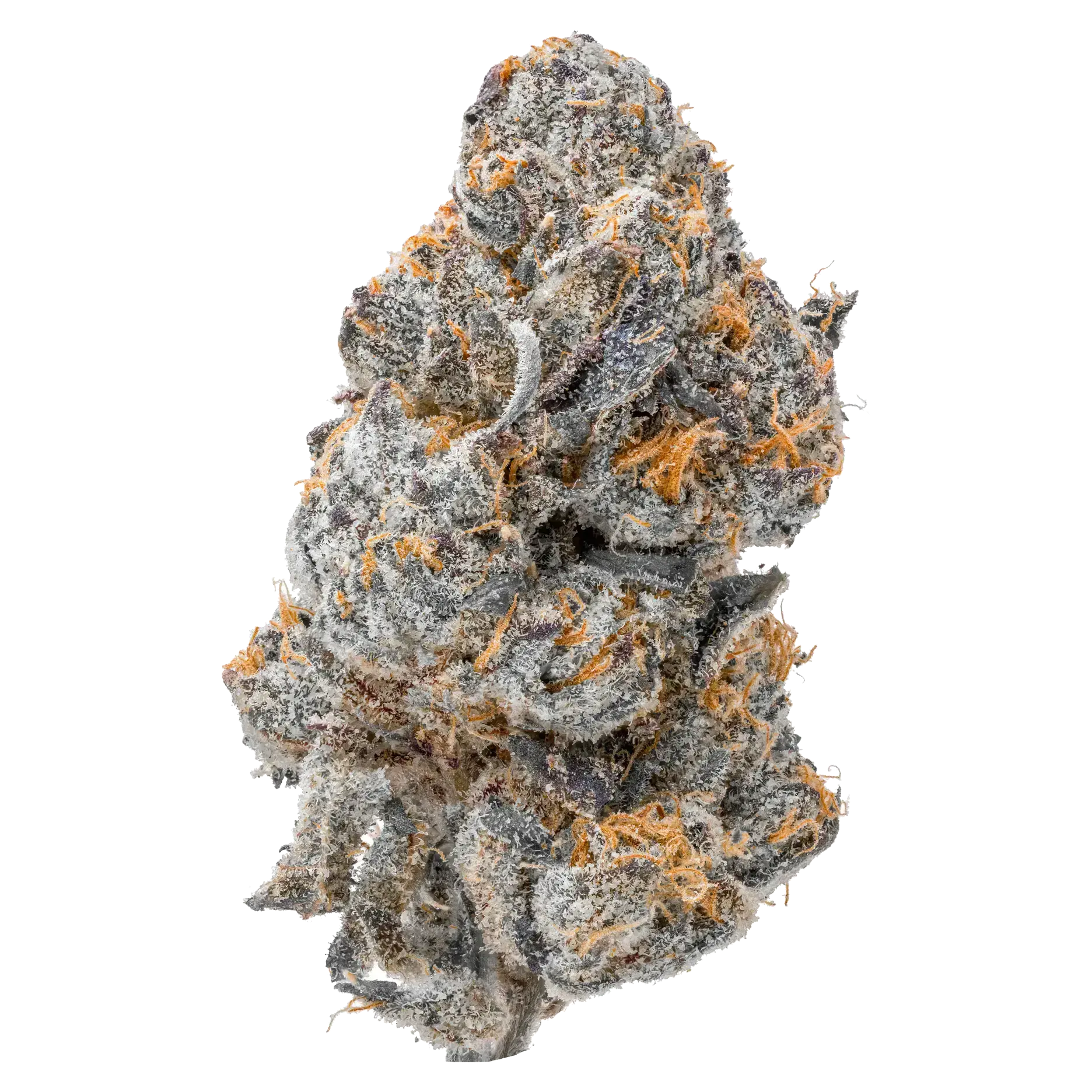 Lemon Cherry Belts THCa Flower supergreenshempco