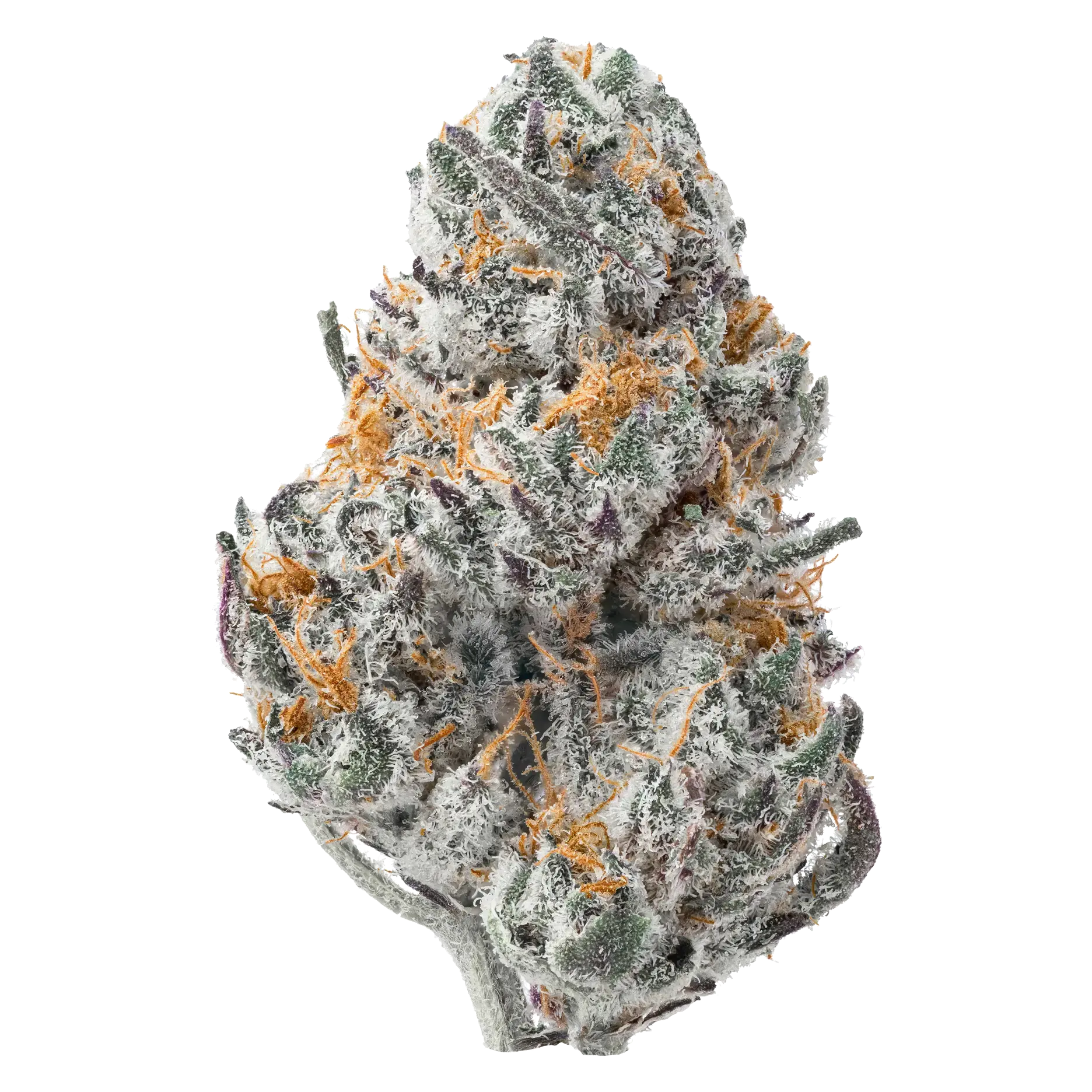 Oreo Smalls THCa Flower supergreenshempco