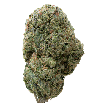 Detroit Runtz THCa Flower | 28 Grams 