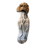 Magic Mushrooms | Penis Envy | 3.5G
