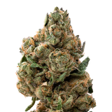 Morning Glory THCa Flower | 28 Grams