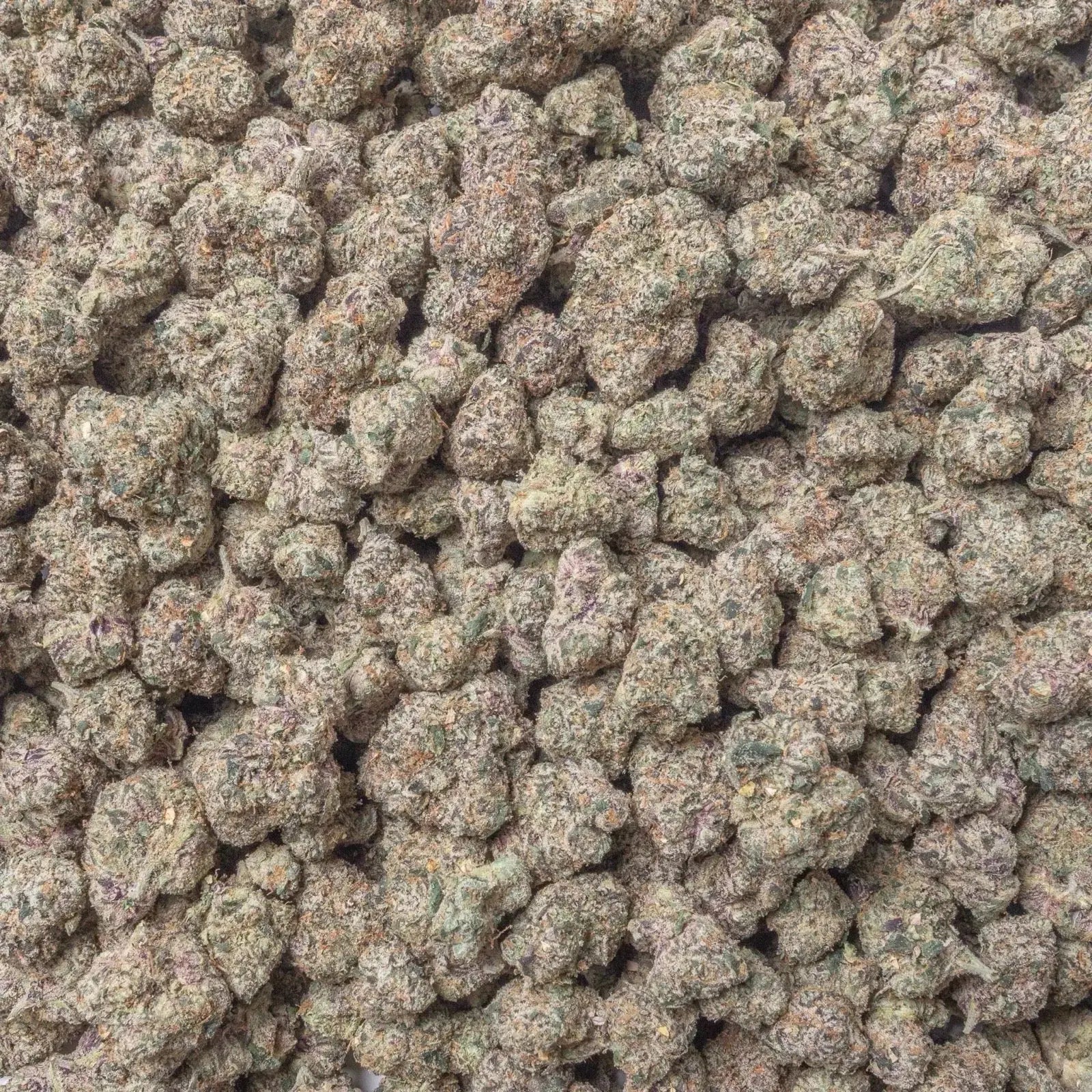Brat Berry THCa Flower supergreenshempco