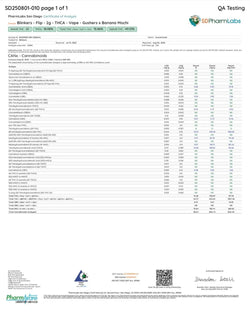 2G THCA Disposable Dual Chamber | Gushers (Hybrid) X Banana Mochi (Indica) 