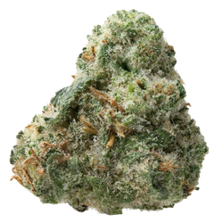 Jack Herer Smalls THCa Flower nug