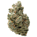 Jack Herer THCa Flower